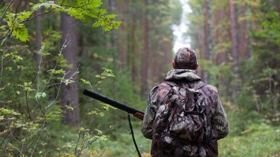 На Чернігівщині вбили червонокнижного лося