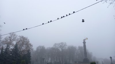 На Полтавщині 18 квітня оголосили жовтий рівень небезпеки через туман