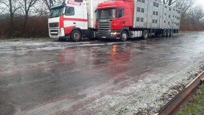 Дощ та ожеледь: на Житомирщині зареєстрували 64 ДТП, попереджають про складні погодні умови
