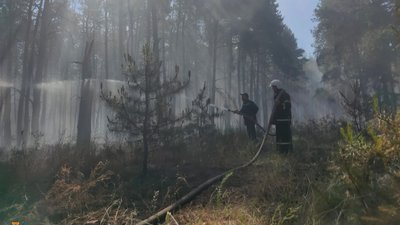 Через обстріли з боку військ РФ за добу на Миколаївщині сталися п'ять пожеж Через обстріли з боку військ РФ за добу на Миколаївщині сталися п'ять пожеж