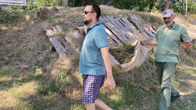 Миколаївці влаштували толоку на території "Дикого Саду" Миколаївці влаштували толоку на території "Дикого Саду"