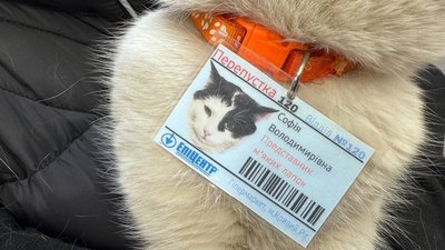 У гіпермаркеті Кривого Рогу понад два роки "працює" кішка Соня