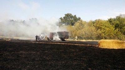 На Луганщині згоріло близько 85 га лісу