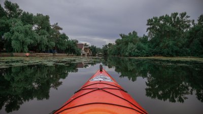 Чому в Запоріжжі люди гребуть Чому в Запоріжжі люди гребуть