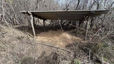 Боротьба з браконьєрами та допомога природі. Історія мисливців з Миколаївщини Боротьба з браконьєрами та допомога природі. Історія мисливців з Миколаївщини
