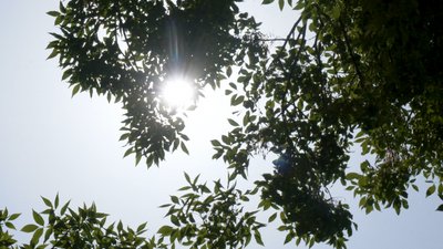 Погода 27-29 червня
