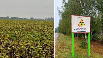 Житомир, земля, радіація, підозра
