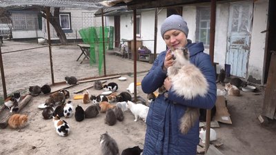 Великий переїзд: волонтери перевезли на Черкащину 80 котів із Донеччини