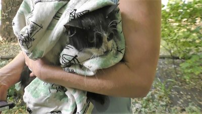 У Запоріжжі місцеві мешканці намагалися врятувати кішку із комунікаційної шахти будинку