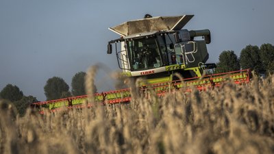 Комбайнер збирає врожай пшениці