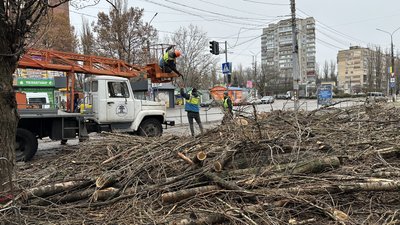 Обрізання дерев, 14 грудня 2023 року Обрізання дерев, 14 грудня 2023 року