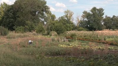 Дві громади Харківщини отримали фінансування США на розвиток плану територій