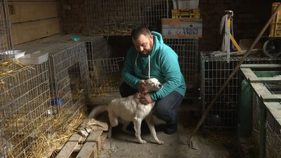 Луцький школяр, який врятував пса з триметрової ями, розповів, як усе було Луцький школяр, який врятував пса з триметрової ями, розповів, як усе було