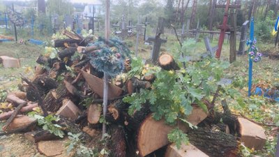 Пошкодили понад два десятки могил – на Житомирщині зрізали дерева на кладовищі Пошкодили понад два десятки могил – на Житомирщині зрізали дерева на кладовищі