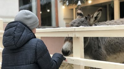 На Франківщині облаштували різдвяну шопку з живими тваринами. Що каже зоозахисниця На Франківщині облаштували різдвяну шопку з живими тваринами. Що каже зоозахисниця
