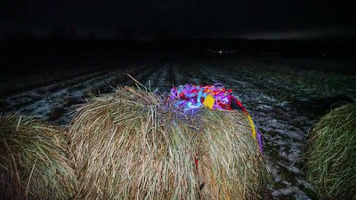 "Ніхто не скаже, про що це, але це в нас у крові". Пошук сенсів у чистому мистецтві Маланки "Ніхто не скаже, про що це, але це в нас у крові". Пошук сенсів у чистому мистецтві Маланки