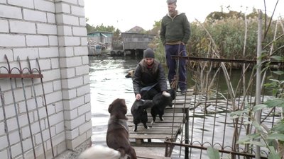 Херсонська родина організувала власний притулок для котів і собак