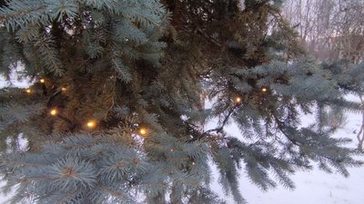 Новорічна ялинка та сніг у Хмельницькому
