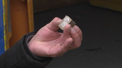 На Волині з літака розкидають вакцину від сказу для диких тварин На Волині з літака розкидають вакцину від сказу для диких тварин