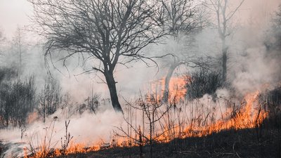 На Херсонщині вночі сталось дві пожежі в екосистемах