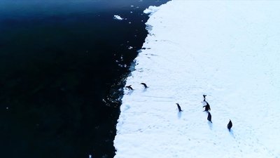 З прикордонної служби – в Антарктиду: Богдан Гаврилюк вирушить у десяту експедицію на станцію "Академік Вернадський" З прикордонної служби – в Антарктиду: Богдан Гаврилюк вирушить у десяту експедицію на станцію "Академік Вернадський"