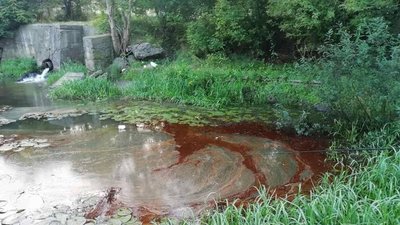 Забруднення річки