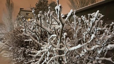 На Миколаївщині протягом доби ускладнилися погодні умови