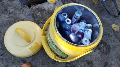 На Полтавщині вакцинують від сказу На Полтавщині вакцинують від сказу
