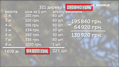 У Вінниці монтують головну ялинку міста У Вінниці монтують головну ялинку міста