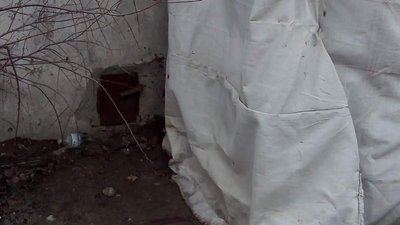 На Житомирщині невідомі застрелили чотирьох собак, які жили на території гаражного кооперативу На Житомирщині невідомі застрелили чотирьох собак, які жили на території гаражного кооперативу
