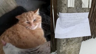 Дитячій YouTube-канал про село став популярним завдяки Twitter. СУСПІЛЬНЕ | ВІДЕОНОВИНИ