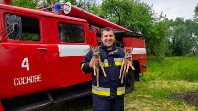 Двох оленят знайшли рятувальники під час ліквідації пожежі на Рівненщині