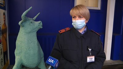 У Житомирі перехожі врятували козуленя – знесилена тварина пішла за людьми до торгового центру У Житомирі перехожі врятували козуленя – знесилена тварина пішла за людьми до торгового центру