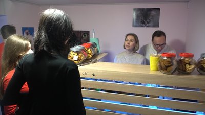 У Запоріжжі відкрили котокафе, в якому прихистили тварин з прифронтових територій У Запоріжжі відкрили котокафе, в якому прихистили тварин з прифронтових територій