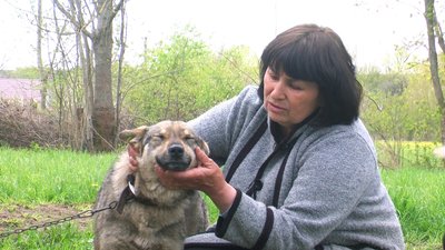 Чорні, білі, сірі, руді, коричневі, плямисті. Переселенка вивезла на Вінниччину 20 котів та 30 собак Чорні, білі, сірі, руді, коричневі, плямисті. Переселенка вивезла на Вінниччину 20 котів та 30 собак