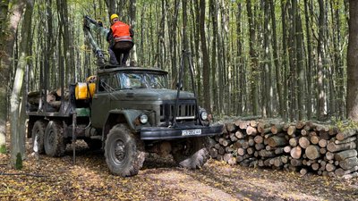На Тернопільщині, у лісництвах, попит на дрова, продають дрова, купують дрова