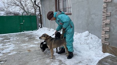 "Собаки врятували мені життя". Армія РФ знищила будинок зооволонтерки з Дніпра "Собаки врятували мені життя". Армія РФ знищила будинок зооволонтерки з Дніпра