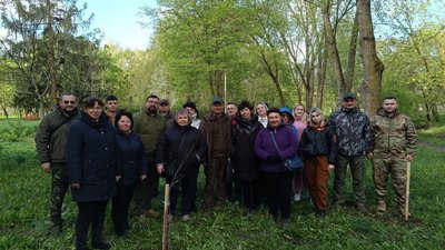 як садити дерева, висадка дерев як садити дерева, висадка дерев