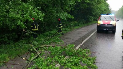 Повалені дерева, пошкодженні високовольтні мережі та затори на дорозі: наслідки негоди на Вінниччині Повалені дерева, пошкодженні високовольтні мережі та затори на дорозі: наслідки негоди на Вінниччині