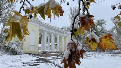 Парк "Херсонська фортеця", зима, Херсон, погода