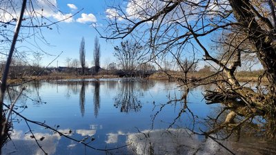 Яку погоду очікувати 7 березня на Рівненщині