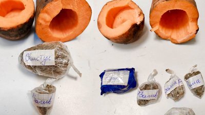 В Одеський СІЗО намагалися передати моркву із забороненим вмістом В Одеський СІЗО намагалися передати моркву із забороненим вмістом