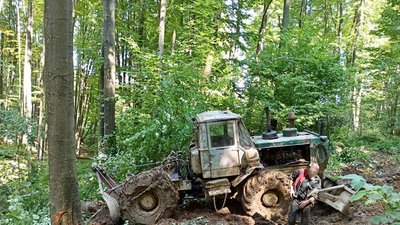Зрубали майже 50 буків: чотирьох закарпатців підозрюють в незаконній вирубці дерев Зрубали майже 50 буків: чотирьох закарпатців підозрюють в незаконній вирубці дерев
