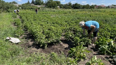 У Решетилівці волонтери посадили овочі для військових ЗСУ У Решетилівці волонтери посадили овочі для військових ЗСУ