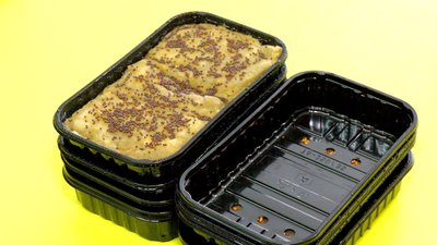 Гроші з продажу спрямують на потреби ЗСУ: у Вінниці учні вирощують мікрозелень Гроші з продажу спрямують на потреби ЗСУ: у Вінниці учні вирощують мікрозелень