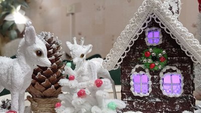 Щоб створити у домі святковий настрій, кропивничанка робить будинки-світильники Щоб створити у домі святковий настрій, кропивничанка робить будинки-світильники