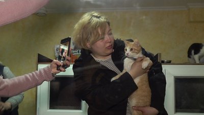 Не могли лишити: до Черкас привезли майже три десятки тварин з Маріуполя Не могли лишити: до Черкас привезли майже три десятки тварин з Маріуполя