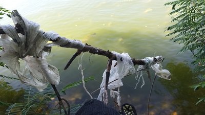Чи готові херсонці відмовитись від використання поліетиленових пакетів Чи готові херсонці відмовитись від використання поліетиленових пакетів