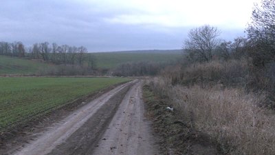 Сім територіальних громад Харківщини отримали у власність державні угіддя