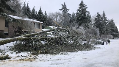Крижаний шторм "накрив" північний захід США